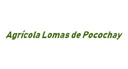 Lomas de Pocochay