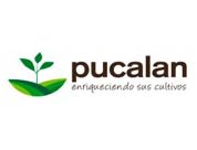 Pucalan