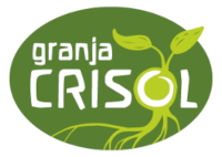 crisol
